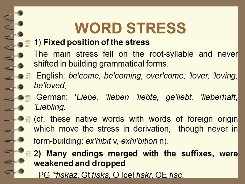 WORD STRESS 1) Fixed position of the stress  The main stress fell on